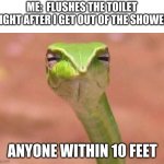 hmmm | ME:  FLUSHES THE TOILET RIGHT AFTER I GET OUT OF THE SHOWER; ANYONE WITHIN 10 FEET | image tagged in skeptical snake | made w/ Imgflip meme maker