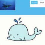 Blue-whale announcement template