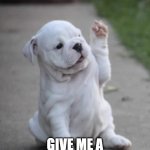 The high five dog | SUP! GIVE ME A HIGH FIVE BRO! | image tagged in puppy high five | made w/ Imgflip meme maker