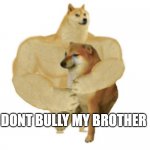 big brother doge hugging little brother cheems | DONT BULLY MY BROTHER | image tagged in big brother doge hugging little brother cheems | made w/ Imgflip meme maker