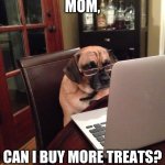 dog | MOM, CAN I BUY MORE TREATS? | image tagged in computer dog,dog,internet,pets | made w/ Imgflip meme maker