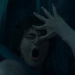 voldemort touching harry GIF Template