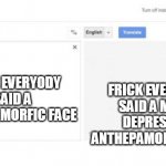 google translate | FRICK EVERYONE SAID A MORE DEPRESSED ANTHEPAMORFIC FACE; FRICK EVERYODY SAID A ANTHEPAMORFIC FACE | image tagged in google translate | made w/ Imgflip meme maker