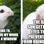 so damn annoying | THE DAMN SUN GETTING MY EYES THAT IS PREVENTING ME FROM DOING MY WORK; ME TRYING TO PEACEFULLY DO MY WORK IN FRONT OF A WINDOW | image tagged in angry bunny | made w/ Imgflip meme maker