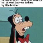 adopted | my little brother: ha ha your adopted
me: at least they wanted me
my little brother: | image tagged in shocked goofy | made w/ Imgflip meme maker
