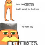I am the lorax and I speak for the trees | MIRACLE; DON'T YOU SNEEZ. | image tagged in i am the lorax and i speak for the trees | made w/ Imgflip meme maker