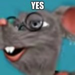 yes rat | YES | image tagged in rat | made w/ Imgflip meme maker
