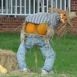 Saucy Scarecrow! meme