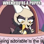 Puppy life | WHEN YOU’RE A PUPPY: | image tagged in the owl house,dogs | made w/ Imgflip meme maker