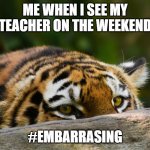 Hidden Tiger | ME WHEN I SEE MY TEACHER ON THE WEEKEND; #EMBARRASING | image tagged in hidden tiger | made w/ Imgflip meme maker