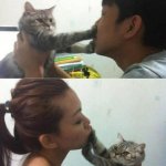 Kitty no like kissy