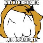 Derpina | WILL BE RIGHT BACK PUPPIES ARE CUTE | image tagged in memes,derpina | made w/ Imgflip meme maker