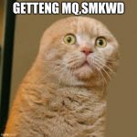 sad sad cat | GETTENG MQ,SMKWD | image tagged in sad sad cat | made w/ Imgflip meme maker