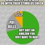 Stimulus Pie Chart | WHAT MOST PEOPLE WILL DO WITH THEIR STIMULUS CHECK; BUY GROCERIES AND OTHER NEEDS; PAY BILLS; BUY SHIT ON AMAZON YOU JUST HAVE TO HAVE | image tagged in pie chart,stimulus,amazon | made w/ Imgflip meme maker