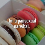 i'm a pansexual narwhal