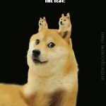 Confusing times | TEACHER: THE TEST IS NOT THAT CONFUSING
THE TEST: | image tagged in gifs,doggo | made w/ Imgflip video-to-gif maker