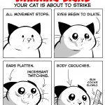 cat about to strike comic meme