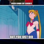 Sailor moon | NEVER GONNA SAY GOODBYE; ME; BUT YOU JUST DID | image tagged in sailor moon | made w/ Imgflip meme maker