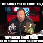 The Elites Don't Want You To Know This, But | THE ELITES DON'T YOU TO KNOW THIS, BUT; THEY BASED SHANE MADEJ OFF OF SHAGGY FROM SCOOBY DOO | image tagged in alex jones,buzzfeed,scooby doo,shaggy,they're the same picture,unsolved mysteries | made w/ Imgflip meme maker