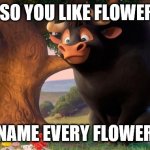 Ferdinand Flowers | OH SO YOU LIKE FLOWERS? NAME EVERY FLOWER | image tagged in ferdinand | made w/ Imgflip meme maker