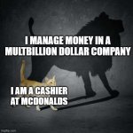 Cat Shadow | I MANAGE MONEY IN A MULTBILLION DOLLAR COMPANY; I AM A CASHIER AT MCDONALDS | image tagged in cat shadow | made w/ Imgflip meme maker