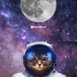 Safe moon cat Meme Generator - Imgflip