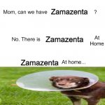 mom can we have zamazenta | Zamazenta Zamazenta Zamazenta | image tagged in mom ca we have | made w/ Imgflip meme maker