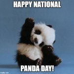 Happy Panda Day everyone! | HAPPY NATIONAL; PANDA DAY! | image tagged in panda,kung fu panda,yeet | made w/ Imgflip meme maker