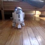 R2D2 smh GIF Template