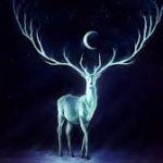 the deer