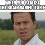 ∞ iq | WHEN YOU REALISE THE BRAIN NAMED ITSELF | image tagged in mark wahlburg confused | made w/ Imgflip meme maker