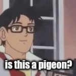 is this a pigeon? | is this a pigeon? | image tagged in gifs,gi,giffs | made w/ Imgflip video-to-gif maker