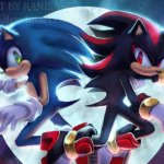 Sonic the Hedgehog and Shadow the Hedgehog
