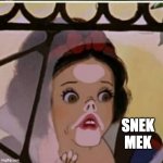 Waiting for snek mek | SNEK
MEK | image tagged in snow white pakidge blank | made w/ Imgflip meme maker