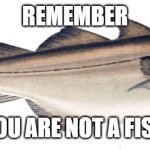 NOT_A_FISH | REMEMBER; YOU ARE NOT A FISH | image tagged in haddock | made w/ Imgflip meme maker