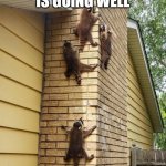 Raccoon chimney | HOMESCHOOLING IS GOING WELL | image tagged in racoons on a chimney | made w/ Imgflip meme maker
