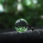 Ant rolling a water droplet