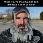 Iced Beard guy meme meme