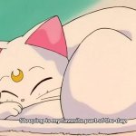 Sailor Moon Artemis sleeping is my favorite part of the day