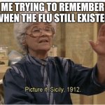 What's the flu? | ME TRYING TO REMEMBER WHEN THE FLU STILL EXISTED | image tagged in golden girls,sophia,covid-19,covid19,covid,flu | made w/ Imgflip meme maker