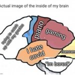 lol this is true | gaming; piano; trying to catch up with my grades; youtube; i hate covid; memes; "im bored" | image tagged in actual image of the inside of my brain,memes,funny,relatable | made w/ Imgflip meme maker