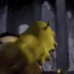 Shrek fighting off knights GIF Template