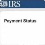 IRS stimulus status