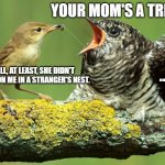 Insulting cuckoo | YOUR MOM'S A TREE! ... WELL, AT LEAST, SHE DIDN'T ABANDON ME IN A STRANGER'S NEST. | image tagged in cuckoo,birb,birds | made w/ Imgflip meme maker
