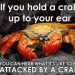 Attacked by a crab