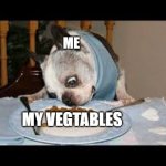 ME; MY VEGTABLES | image tagged in funny memes | made w/ Imgflip meme maker