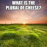 ;o)))) | WHAT IS THE PLURAL OF CHEESE? | image tagged in landscapemaymay | made w/ Imgflip meme maker