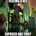 Wizard of Oz Exposed | FEELING A BIT; EXPOSED ARE YOU? | image tagged in wizard of oz exposed | made w/ Imgflip meme maker