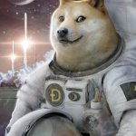 SpaceX launching Validator Nodes on Starlink Satellites for Quantum Financial System? Moon Phase: Prepare to Blast Off! #GoldQFS | WHAT'S ESOTERIC ELON REALLY SAYING? < #XRPmoon; Clue: IT's Hidden in Plain View. | image tagged in xrp moon,advice doge,xrp,elon musk laughing,the golden rule,quantum leap | made w/ Imgflip meme maker