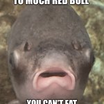I made dat | WHEN YOU EAT TO MUCH RED BULL; YOU CAN’T EAT RED BULL MMMMMH UUUUH | image tagged in dumb fish | made w/ Imgflip meme maker